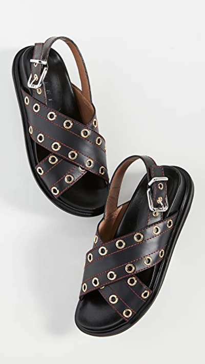 Shop Marni Crisscross Grommet Sandals In Black