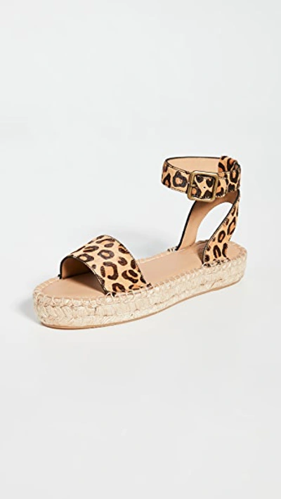 Shop Soludos Cadiz Sandals In Leopard