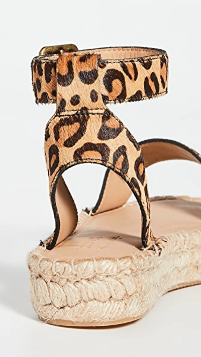 Shop Soludos Cadiz Sandals In Leopard