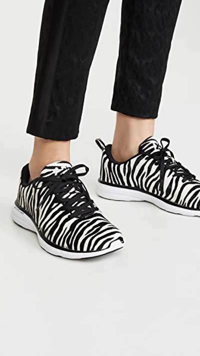 Shop Apl Athletic Propulsion Labs Iconic Pro Sneakers In Zebra