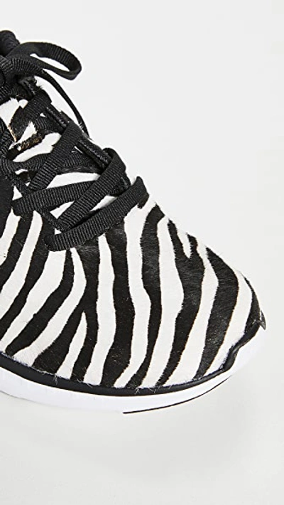 Shop Apl Athletic Propulsion Labs Iconic Pro Trainers In Zebra