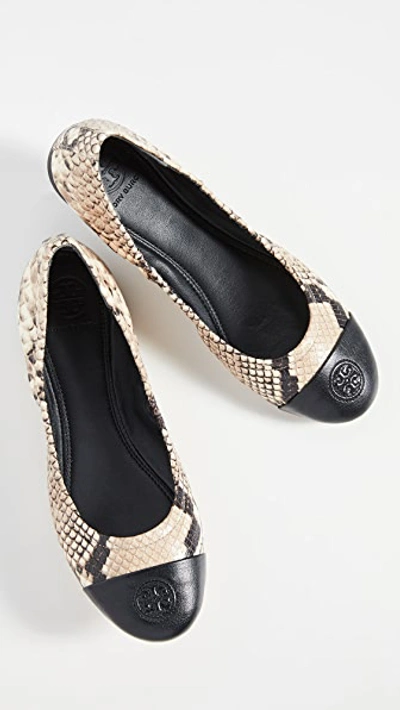 Shop Tory Burch Exclusive Cap Toe Ballet Flats In Roccia/black Cap Toe