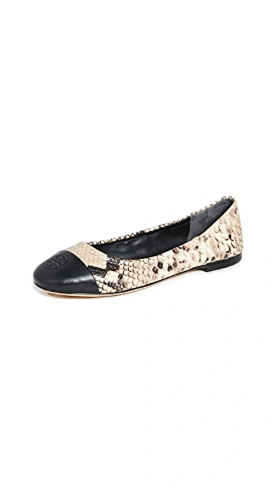 Shop Tory Burch Exclusive Cap Toe Ballet Flats In Roccia/black Cap Toe