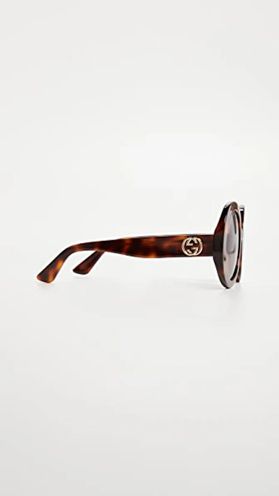 Shop Gucci Gg Oval Sunglasses In Havana/brown