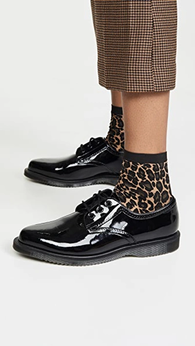 Shop Wolford Leo Socks In Gobi/black