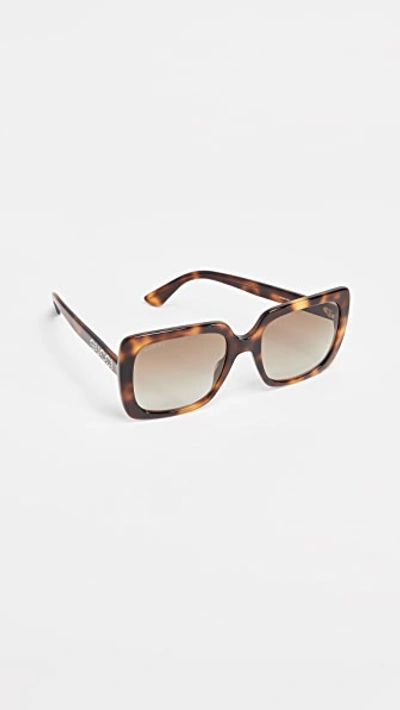 Shop Gucci Acetate Square Sunglasses In Havana/brown