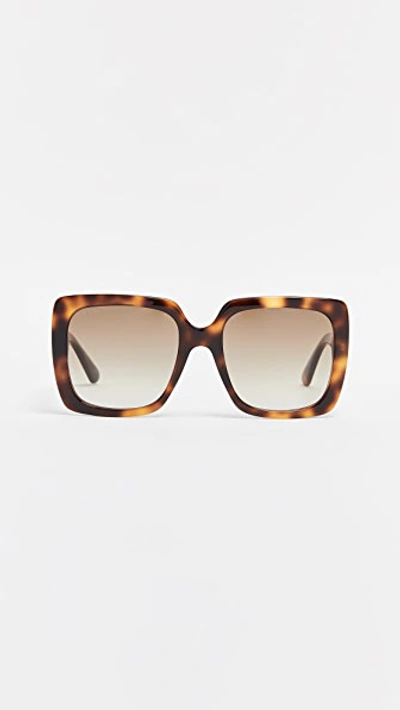 Shop Gucci Acetate Square Sunglasses In Havana/brown