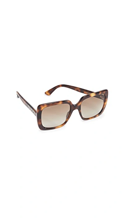 Shop Gucci Acetate Square Sunglasses In Havana/brown