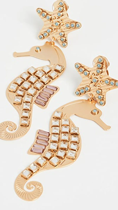 Shop Mercedes Salazar Seahorse Earrings In Gold