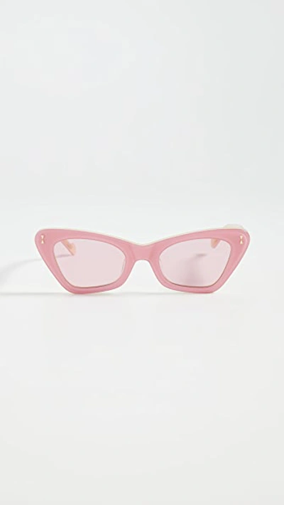 Shop Zimmermann Tallow Sunglasses In Blossom Pink