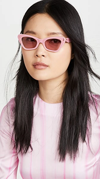 Shop Zimmermann Tallow Sunglasses In Blossom Pink