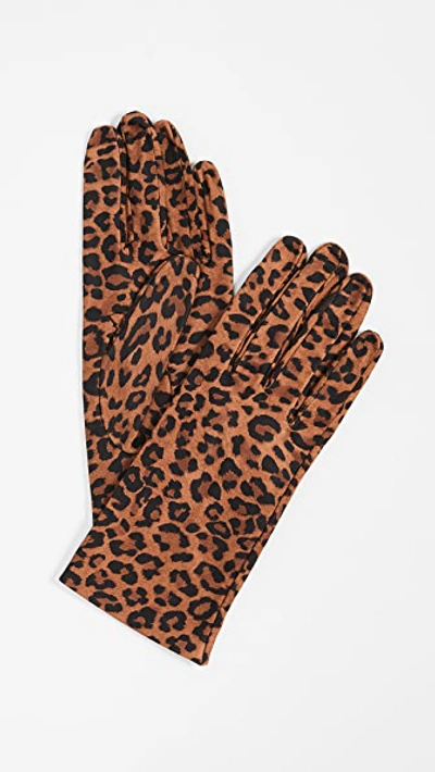 Shop Carolina Amato Leopard Print Gloves In Camel
