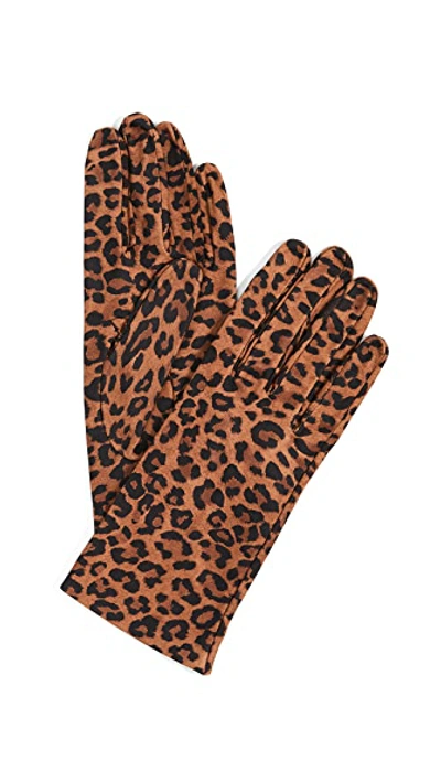 Shop Carolina Amato Leopard Print Gloves In Camel