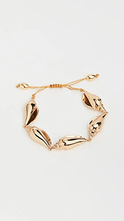 Shop Tohum Colubra Shell Bracelet In Gold