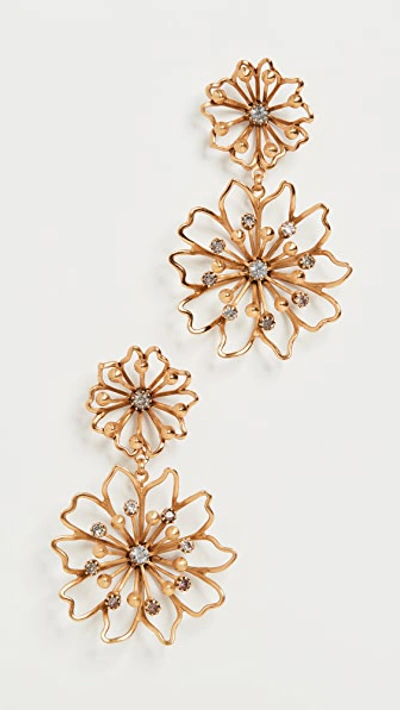 Shop Elizabeth Cole Annabelle Earrings In Golden Glow