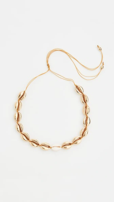 Shop Tohum Large Puka Shell Necklace In Gold