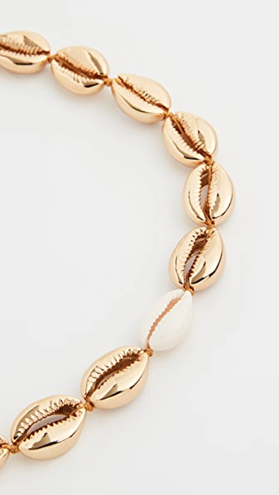 Shop Tohum Large Puka Shell Necklace In Gold