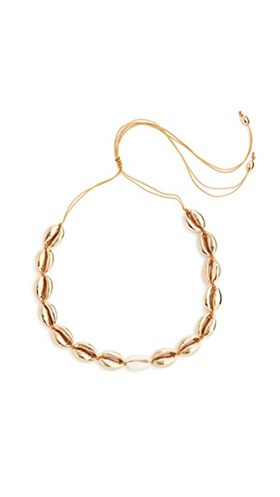 Shop Tohum Large Puka Shell Necklace In Gold