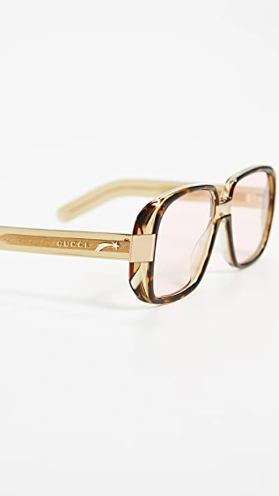 Shop Gucci Square Acetate Sunglasses In Havana/pink Lens