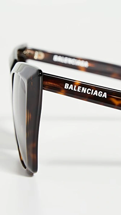 Shop Balenciaga Tip Cat Eye Sunglasses In Havana/brown