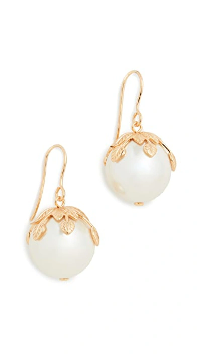Shop Aurelie Bidermann Albizia Earrings In Gold/pearl