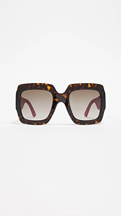 Shop Gucci Pop Glitter Iconic Oversized Square Sunglasses In Dark Havana Glitter Pink/brown