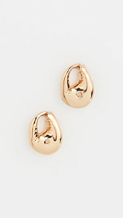 Shop Tohum Crab Earrings In Gold
