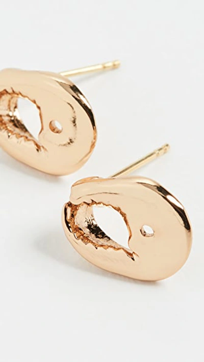 Shop Tohum Crab Earrings In Gold