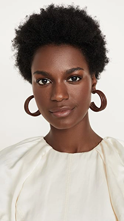 Shop Cult Gaia Kaia Hoop Earrings In Chestnut