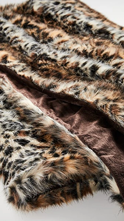Shop Shopbop Home Shopbop @home Limited Edition Throw Blanket In Ocelot