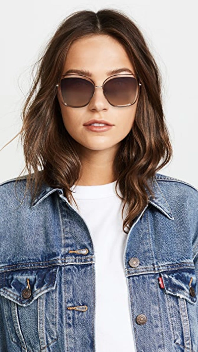 Shop Chloé Poppy Cat Eye Sunglasses In Havana/brown Gradient