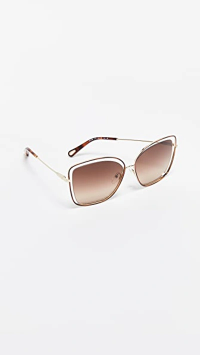 Poppy Cat Eye Sunglasses