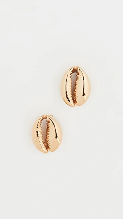 Shop Tohum Large Puka Shell Earrings In Gold