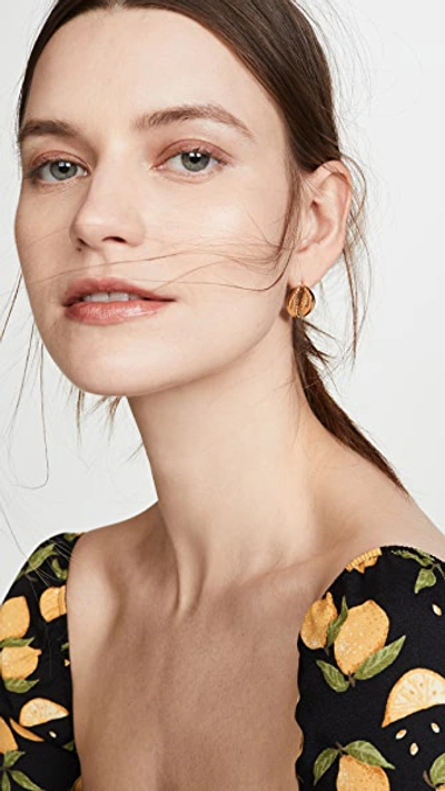 Shop Tohum Large Puka Shell Earrings In Gold