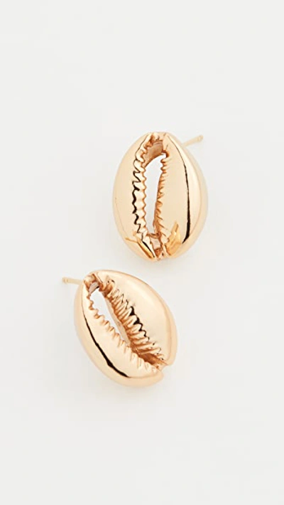 Shop Tohum Large Puka Shell Earrings In Gold