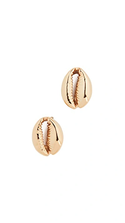 Shop Tohum Large Puka Shell Earrings In Gold