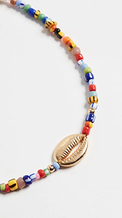 Shop Anni Lu Alaia Cowrie Shell Necklace In Mix