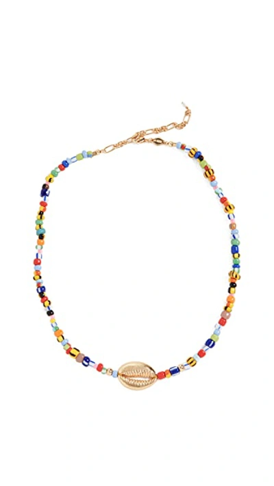 Shop Anni Lu Alaia Cowrie Shell Necklace In Mix