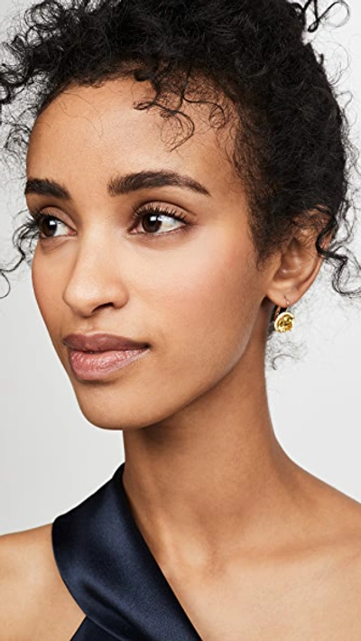 Shop Alison Lou 14k Round Cocktail Earrings In Yellow Sapphire