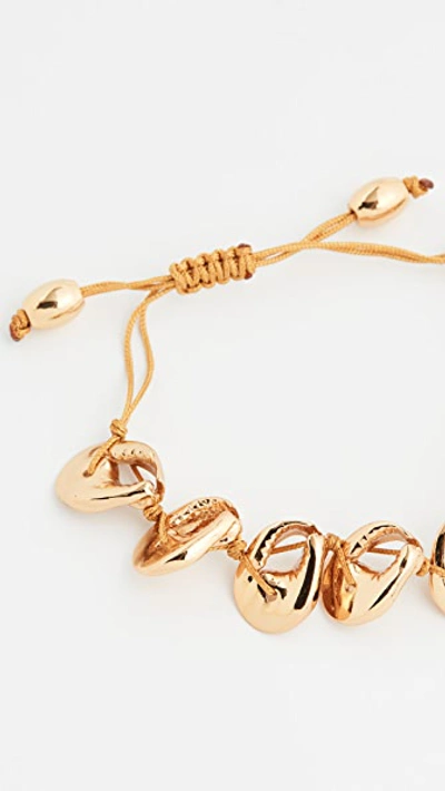 Shop Tohum Crab Shell Bracelet In Gold