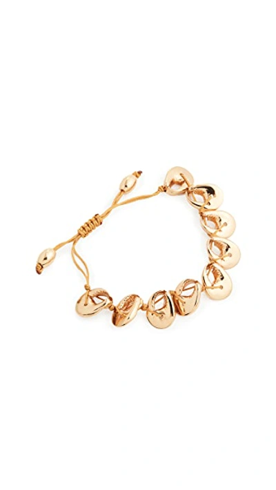 Shop Tohum Crab Shell Bracelet In Gold