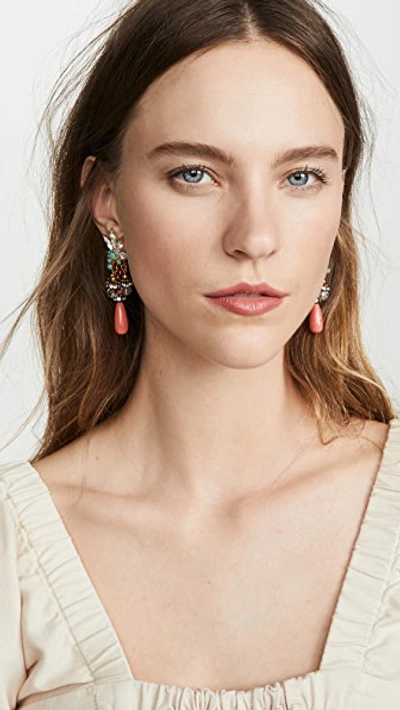 Shop Elizabeth Cole Darcey Earrings In Coral