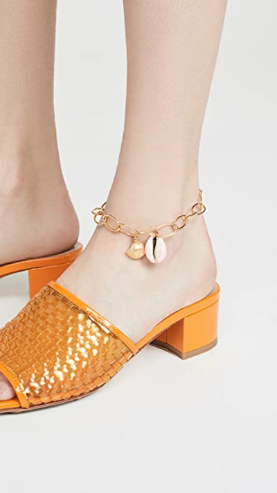 Shop Aurelie Bidermann Panama Shell Anklet In Gold/pink