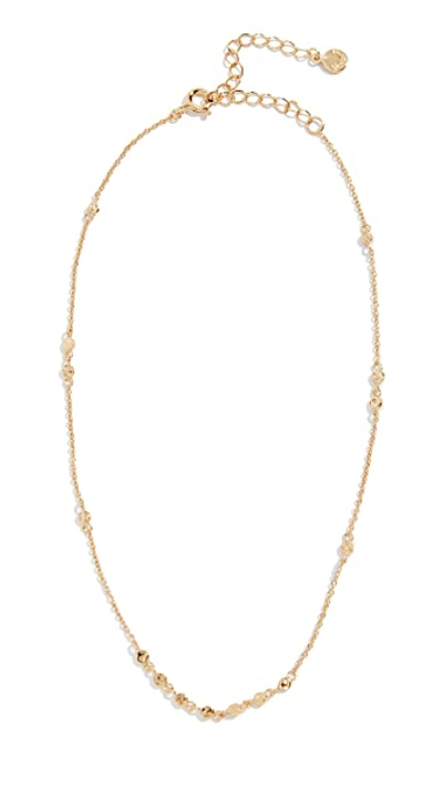 Shop Gorjana Chloe Mini Choker Necklace In Yellow Gold