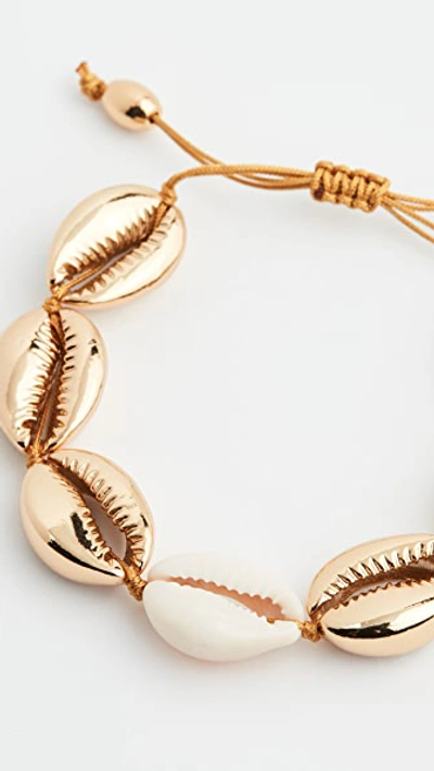 Shop Tohum Large Puka Shell Bracelet In Gold