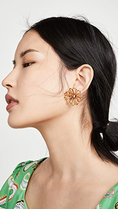 Shop Elizabeth Cole Nickie Earrings In Golden Glow