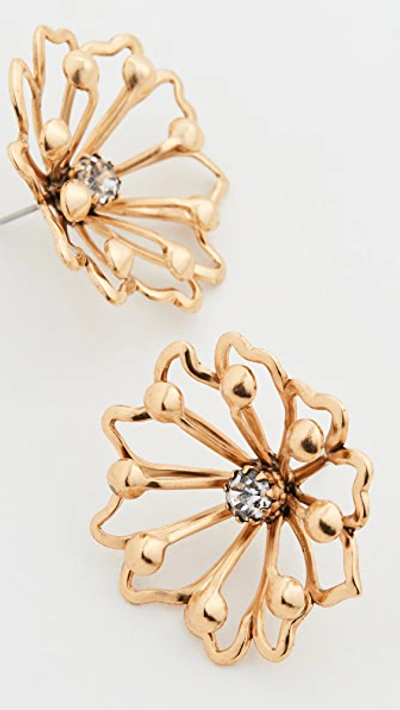 Shop Elizabeth Cole Nickie Earrings In Golden Glow