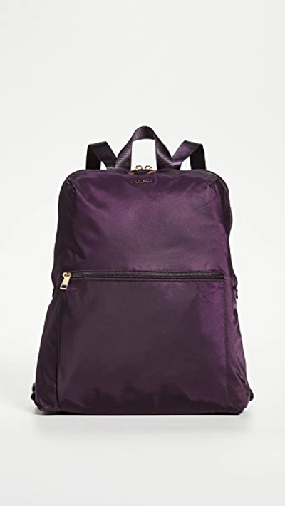 Shop Tumi Just In Case Backpack In Blackberry