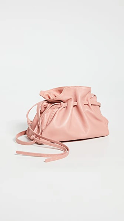 Shop Mansur Gavriel Mini Protea Bag In Coral