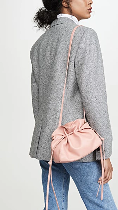 Shop Mansur Gavriel Mini Protea Bag In Coral